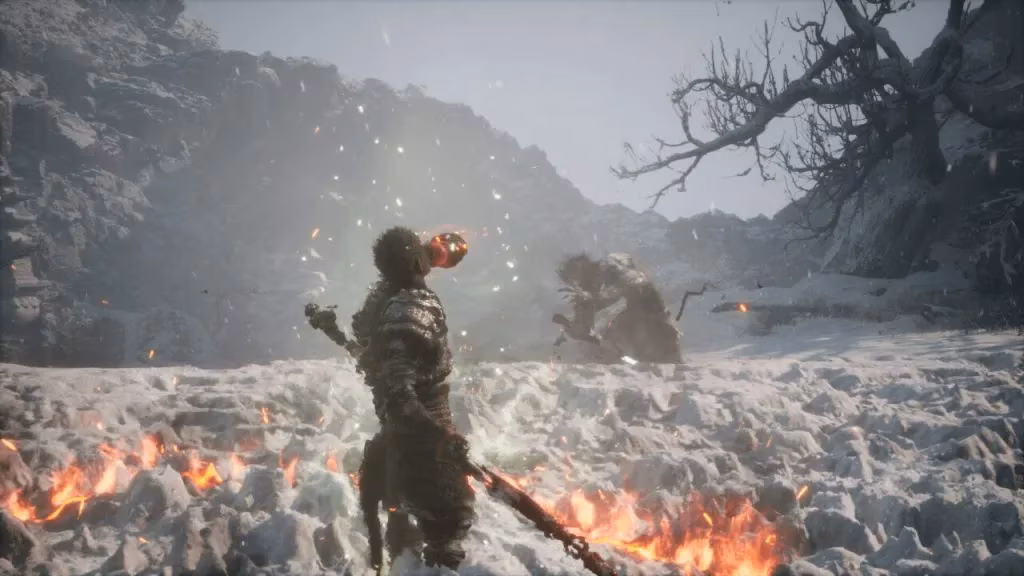 my-2026-reflection-on-the-disc-free-physical-edition-of-black-myth-wukong-image-0